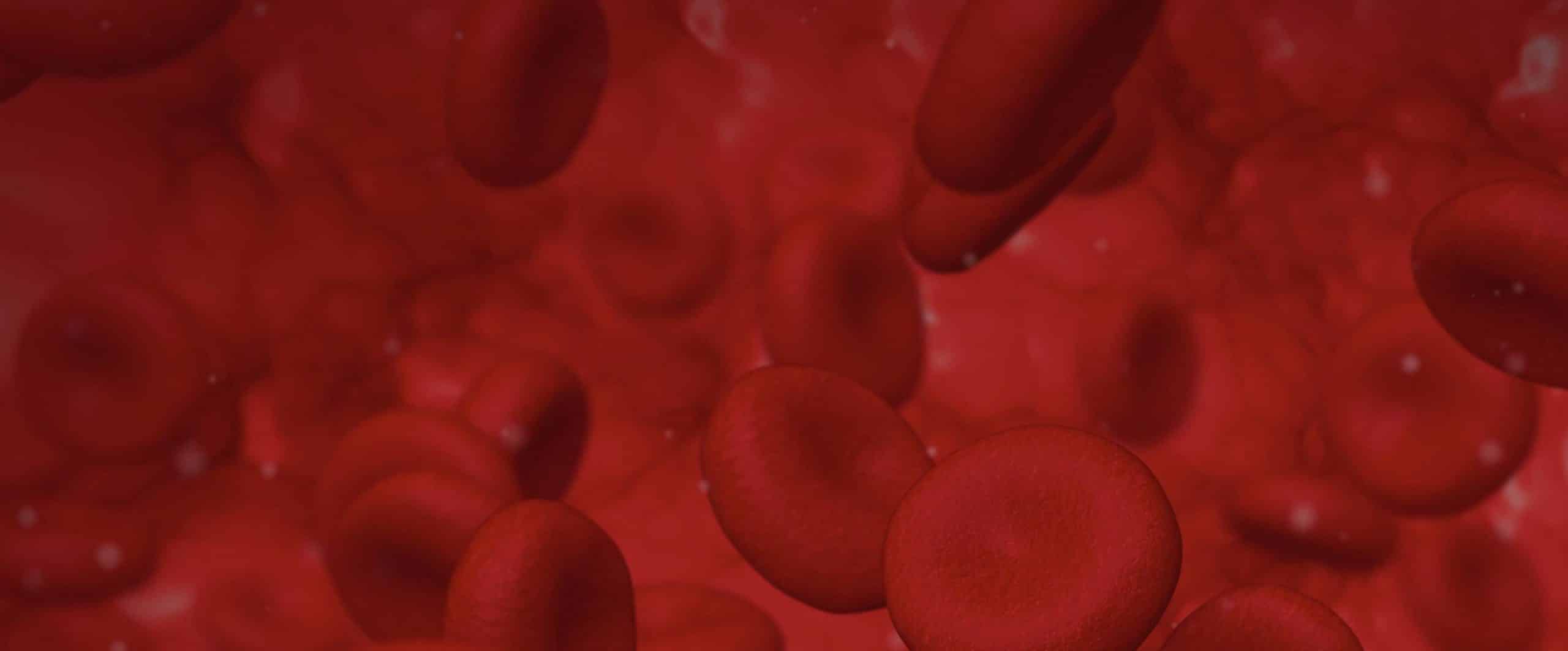 Microscopic photo of blood